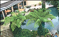 Paihia Pacific Resort